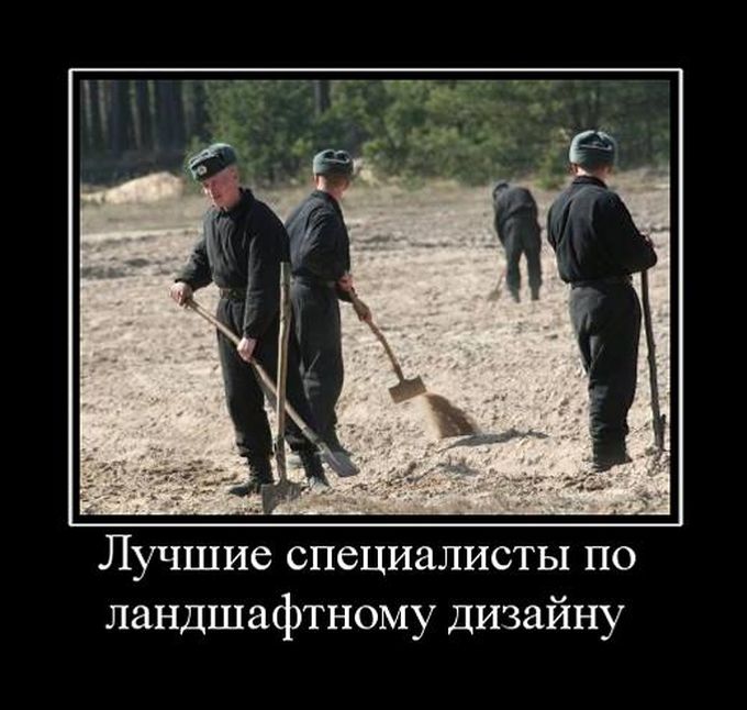 Лучшие специалисты