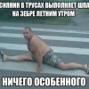Шпагат