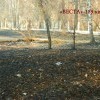 Ангарск-чистый город. Территории, которые никогда и никто не убирает.