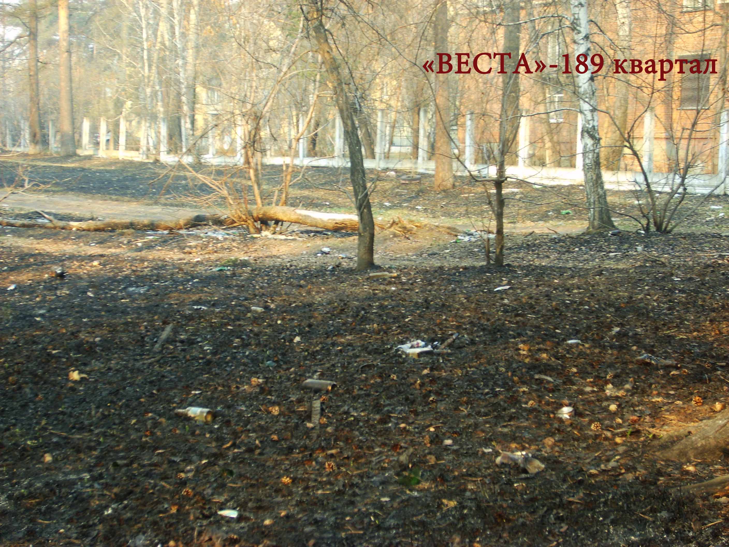 Ангарск-чистый город. Территории, которые никогда и никто не убирает.