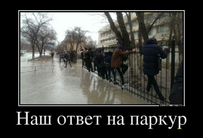 Наш ответ