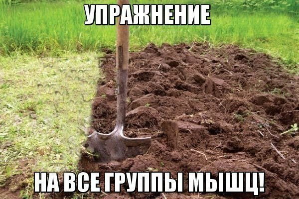 Упражнение