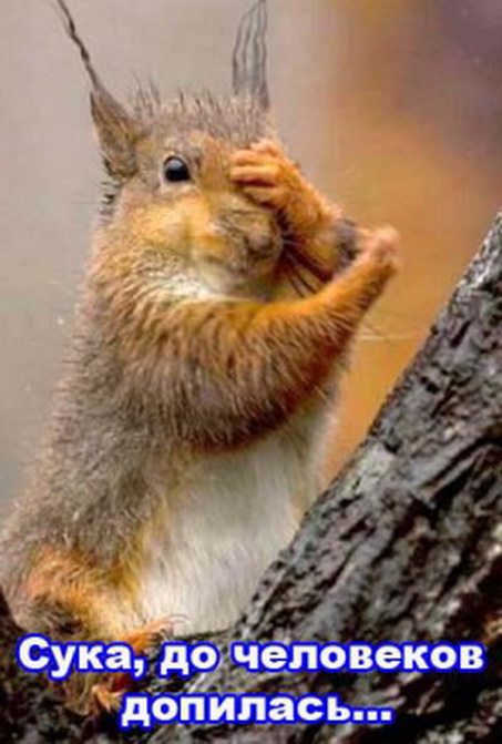 до человеков допилась)))))