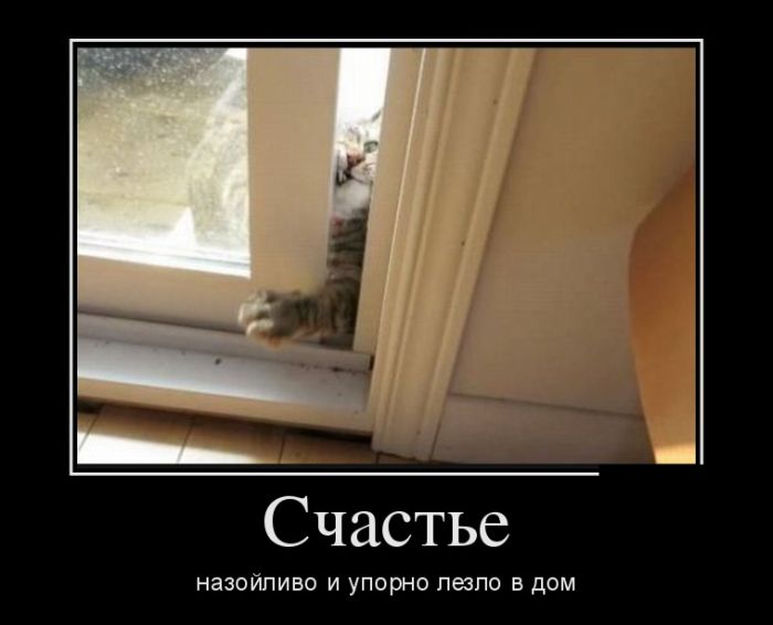 Счастье назойливо и упорно