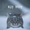 В ожидании весны В ожидании весны