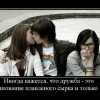 Дружба Дружба