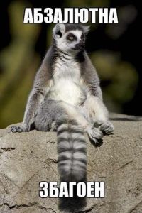 Узбагойся))))))