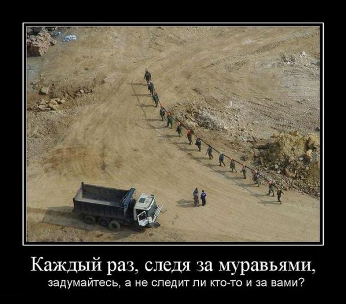 Слежка за муравьями