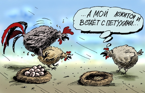 Встает с петухами