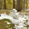снеговиг за Современником))))