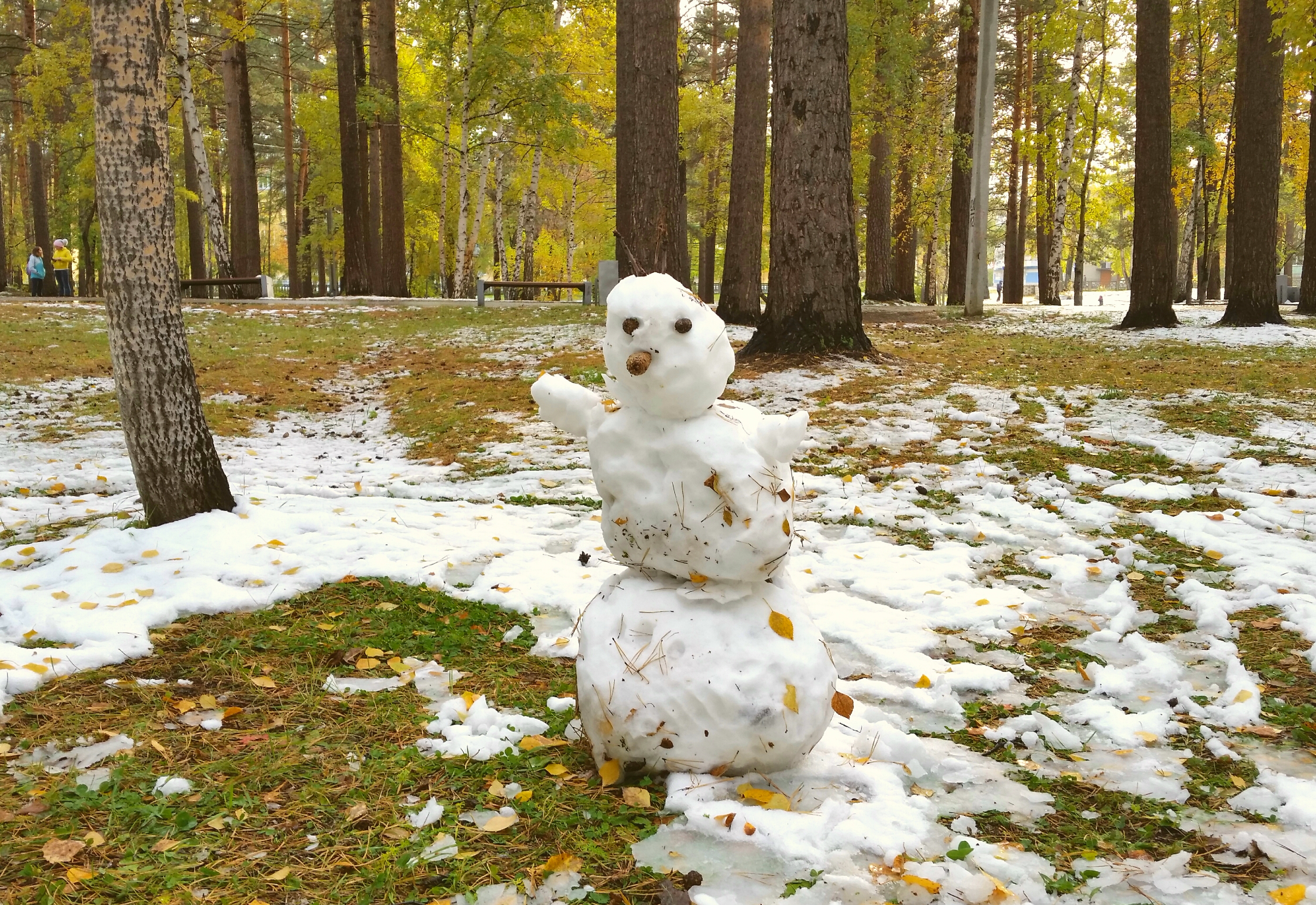 снеговиг за Современником))))