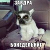 завдра панедельниг)))) завдра панедельниг))))