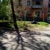 Это подфартило соседской клумбе. Это подфартило соседской клумбе.