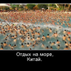Отдых на море