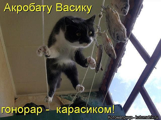 Васик