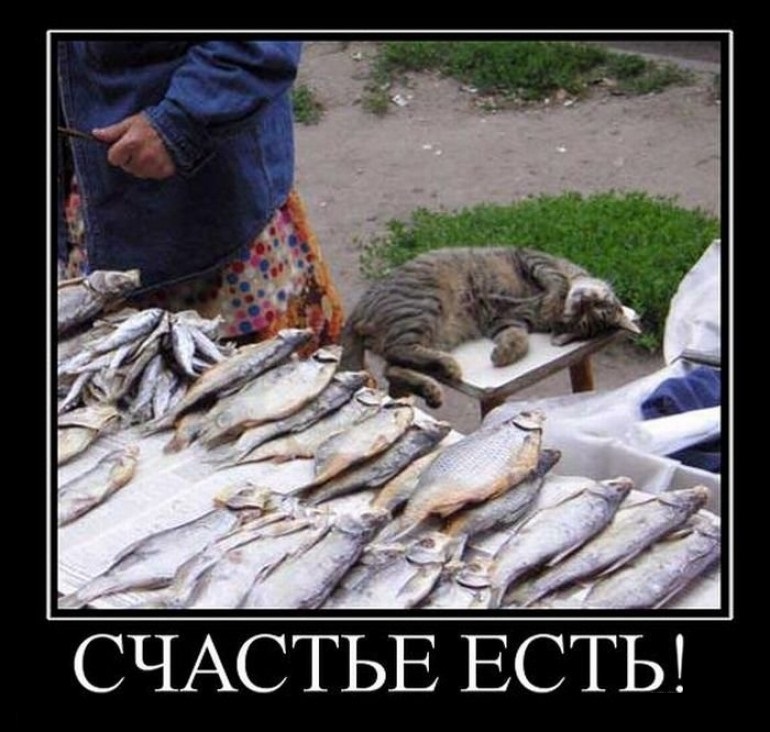Счастье-есть