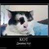 174274 kot 174274 kot