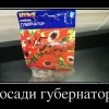 Посади губернатора Посади губернатора