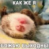 Выходные Выходные