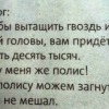 Полис