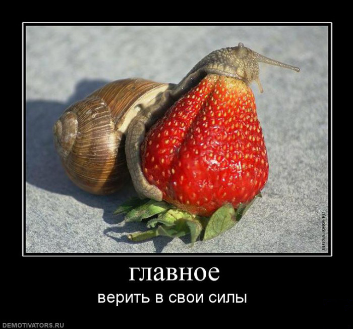 Вера в свои силы