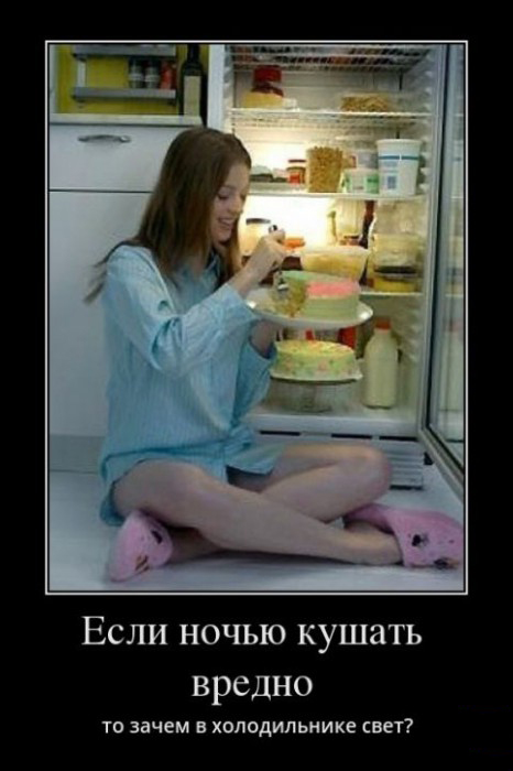 Зачем свет в холодильнике?