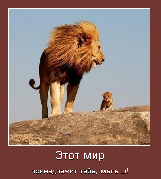 Этот мир