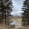 Весна, похожая на осень Весна, похожая на осень
