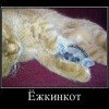 Ёжкинкот