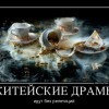 Житейские драмы Житейские драмы
