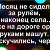 Соскучились,черти...