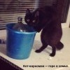 чёрный
