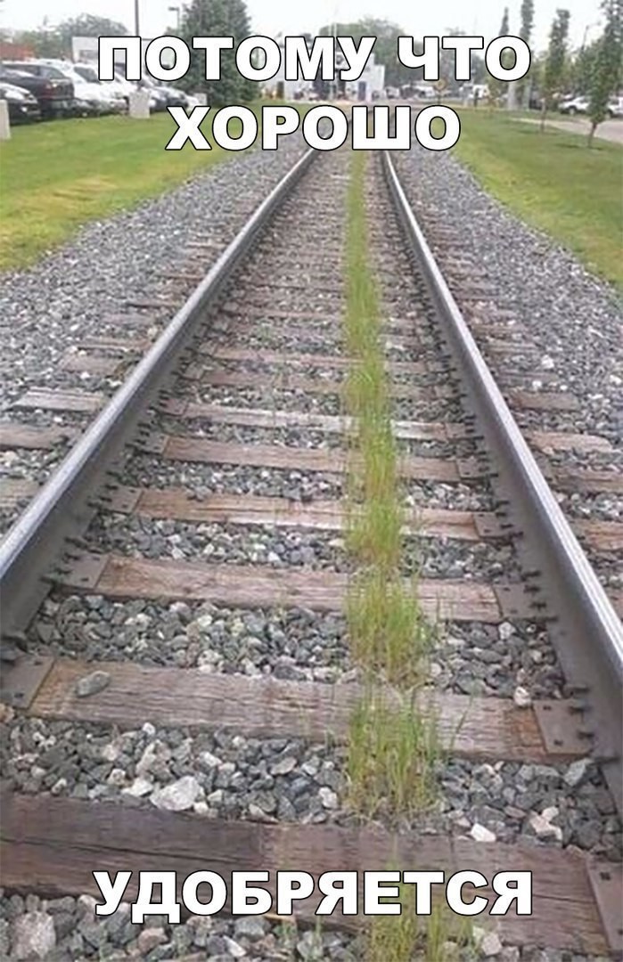 харашо удабряеца))))))