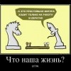 Жизнь-игра