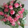 DSCN1037