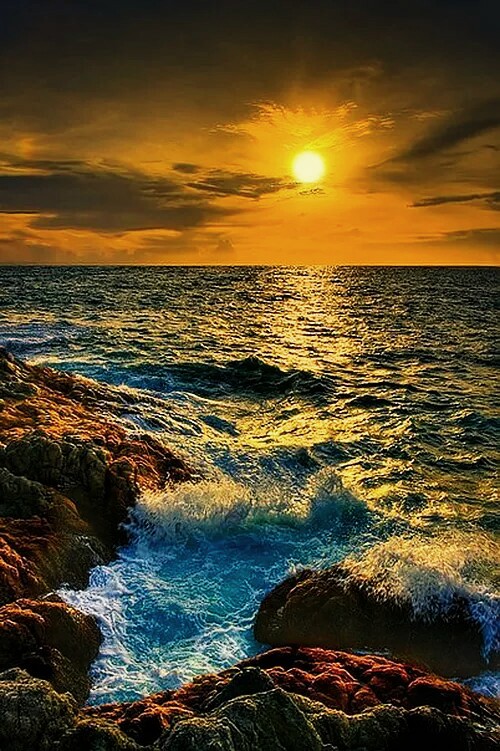 понравилось  фото