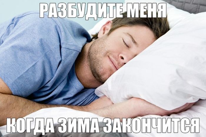 Разбудите