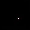 IMG0480B