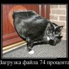 Загрузка файла