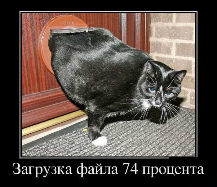 Загрузка файла