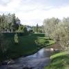 IMG 0979 IMG 0979