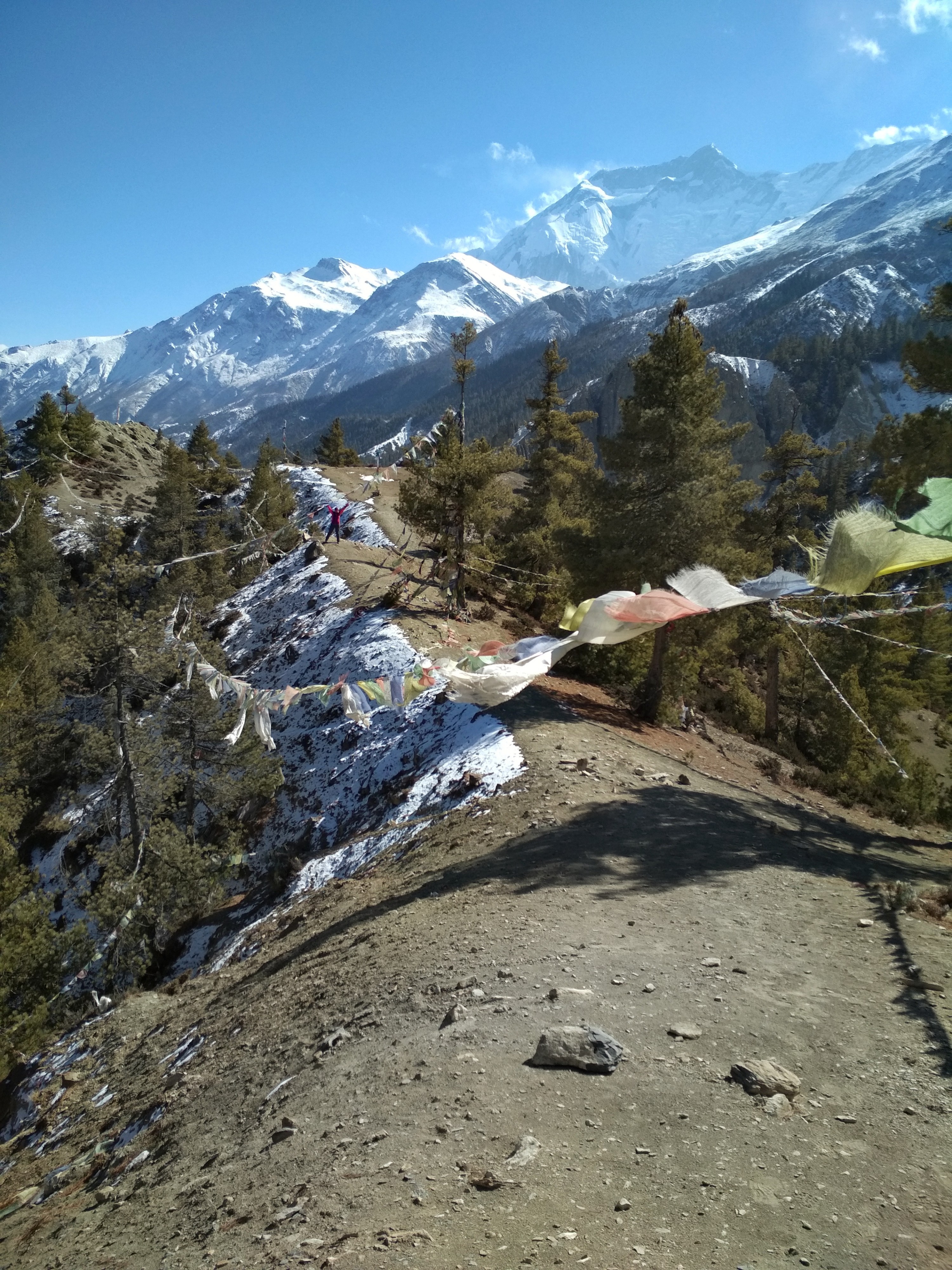 Рерих и Гималаи 