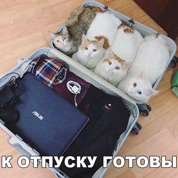 К отпуску готовы