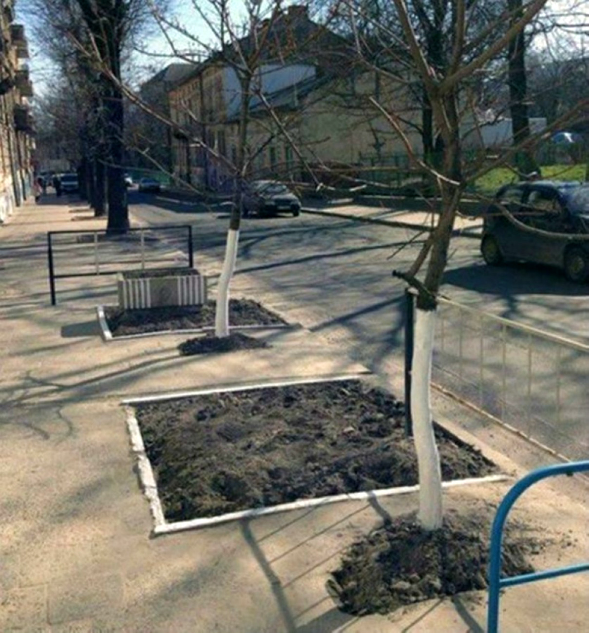 Зеленый город