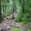 DSC 1354