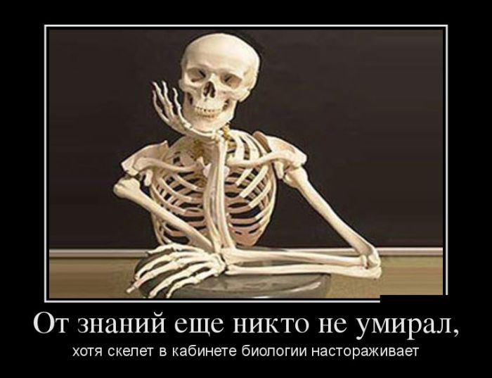 От знаний, никто не умирал