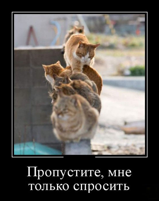 Пропустите...