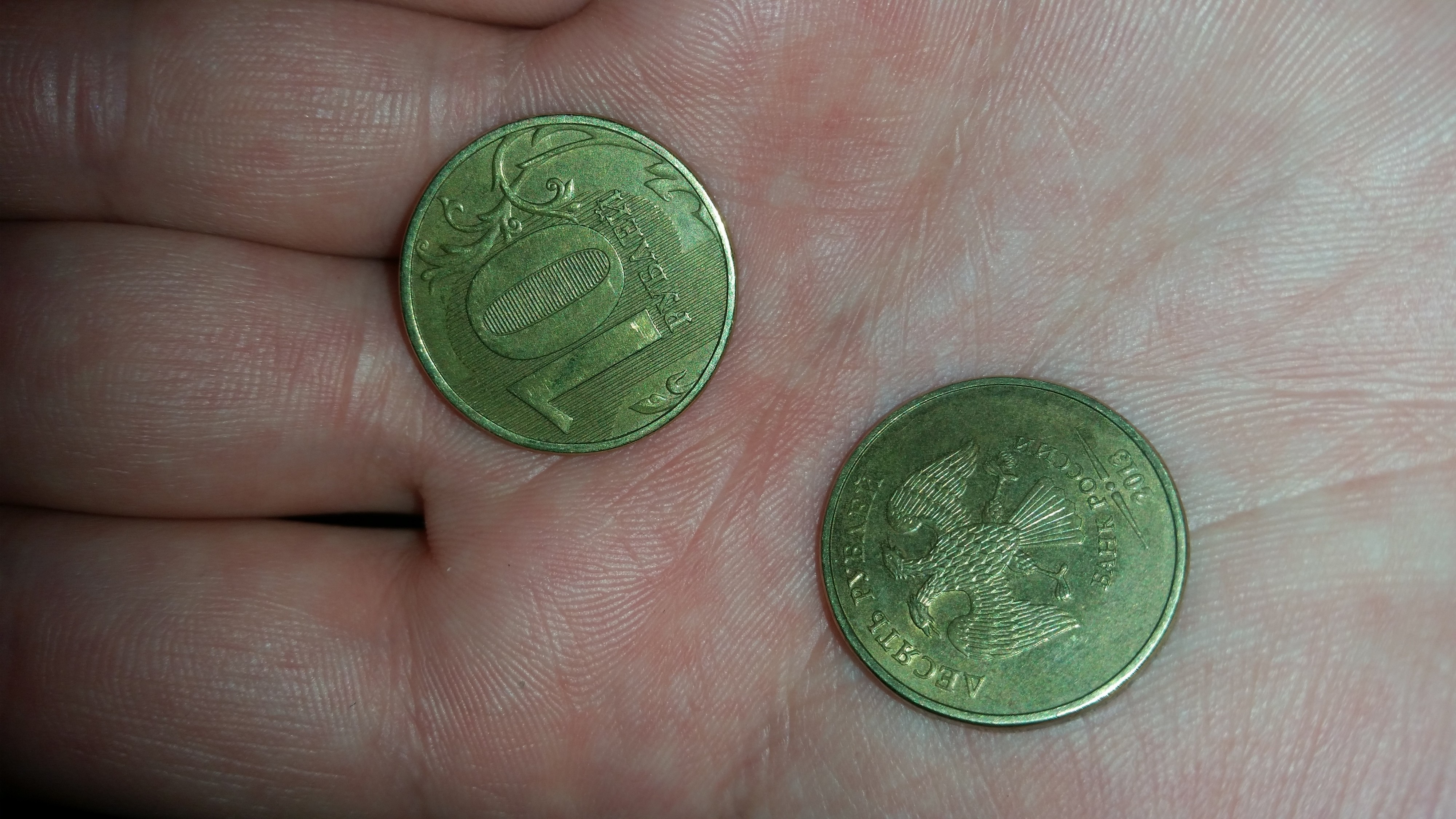 сирёгина рука закопившая пару десятков рубликов)))))