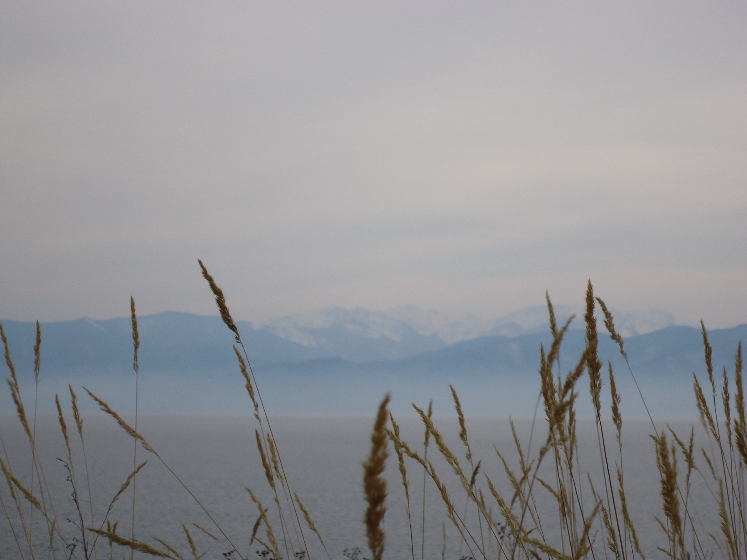 и в дали дальние звала..