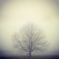 Заблудившийся в тумане